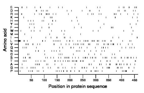 amino acid map