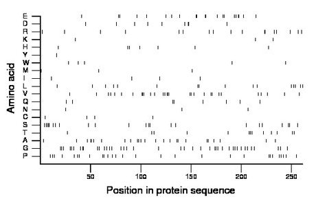 amino acid map