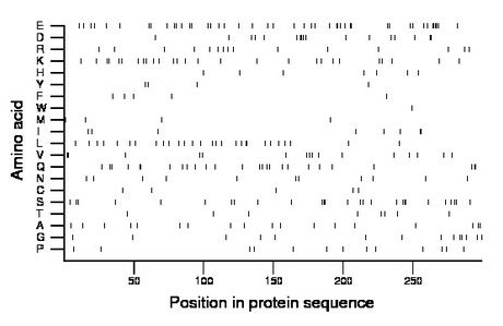 amino acid map