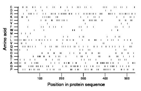 amino acid map