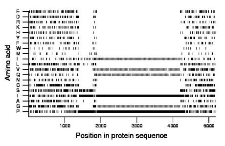 amino acid map
