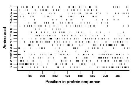 amino acid map