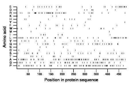 amino acid map