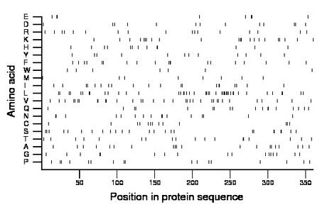amino acid map
