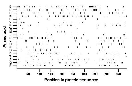 amino acid map
