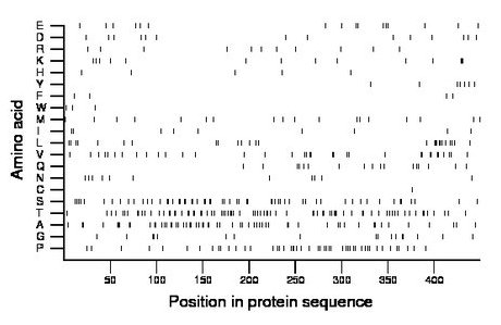 amino acid map