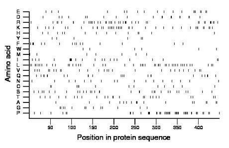 amino acid map