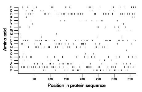 amino acid map
