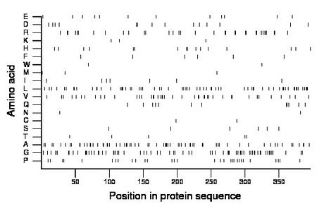 amino acid map