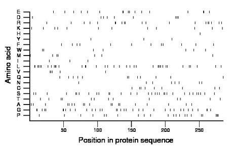 amino acid map