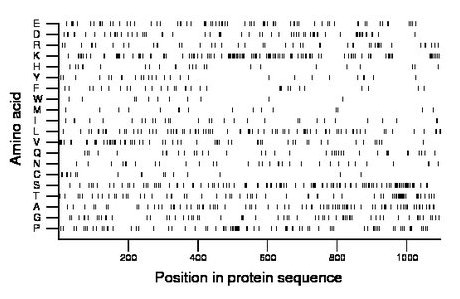amino acid map