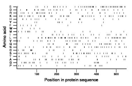 amino acid map