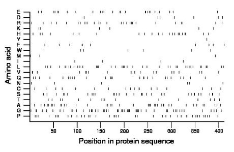 amino acid map