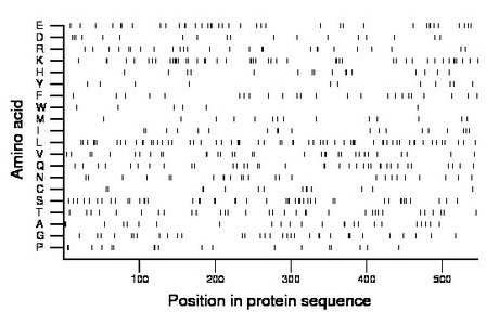 amino acid map