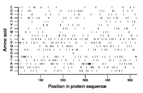 amino acid map