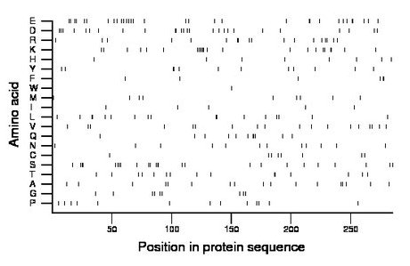 amino acid map