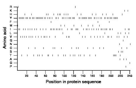 amino acid map