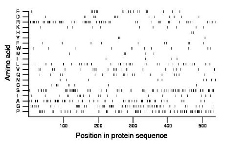 amino acid map