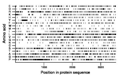 amino acid map