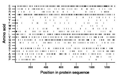 amino acid map