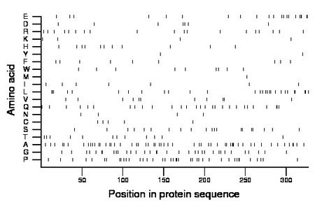 amino acid map