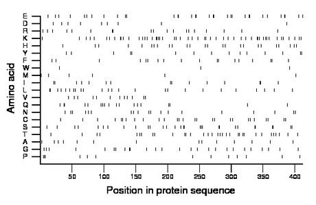 amino acid map
