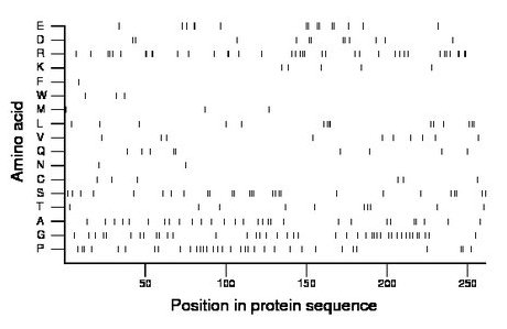 amino acid map