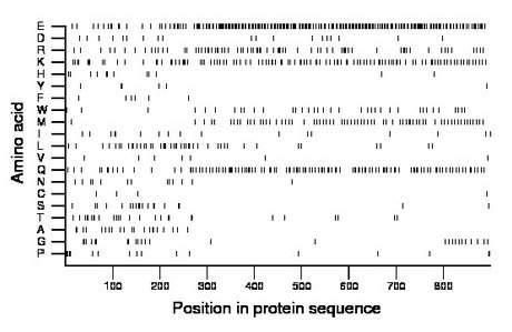 amino acid map