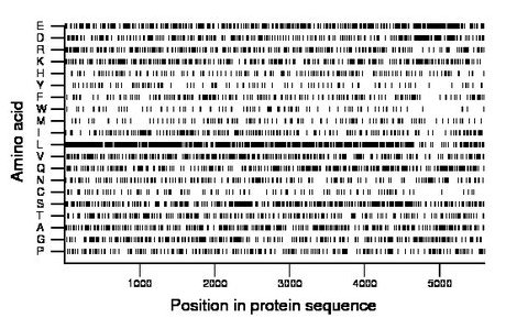 amino acid map
