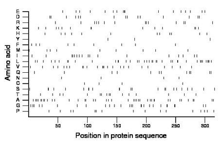 amino acid map