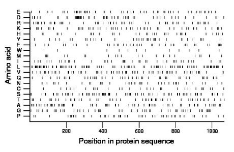 amino acid map