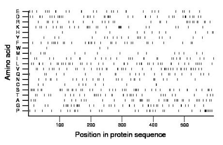 amino acid map