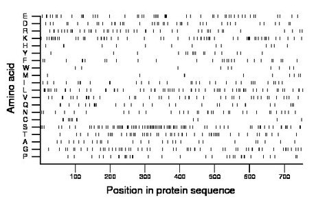 amino acid map
