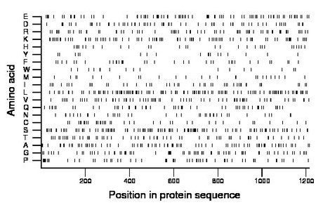 amino acid map