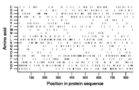 amino acid map