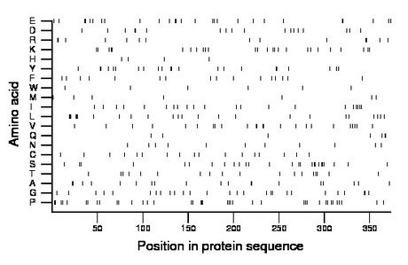 amino acid map