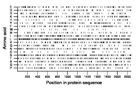 amino acid map
