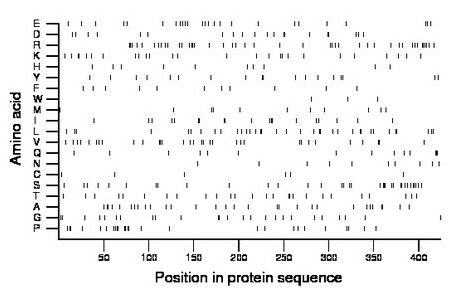 amino acid map