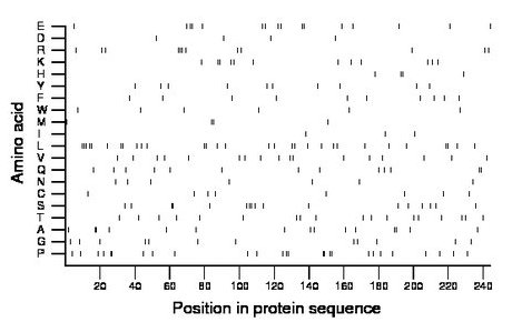 amino acid map