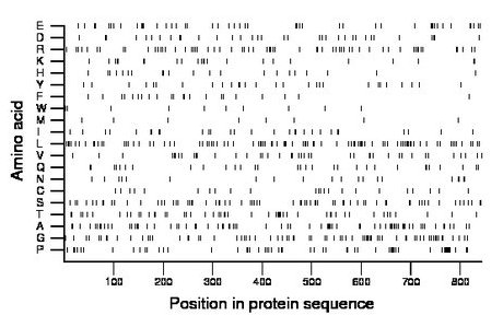 amino acid map