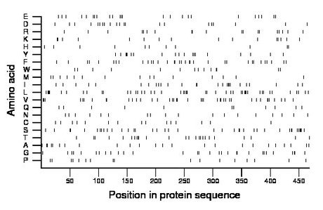 amino acid map