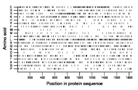 amino acid map