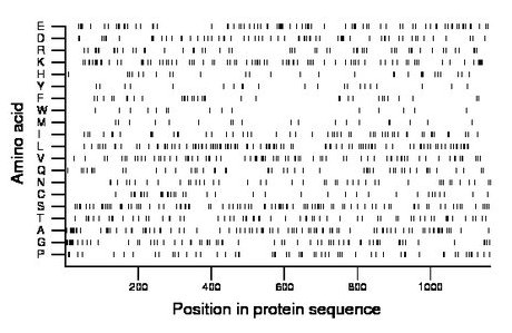 amino acid map