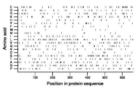 amino acid map