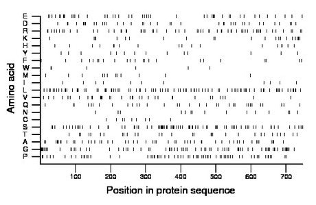 amino acid map