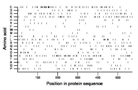 amino acid map