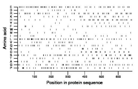 amino acid map