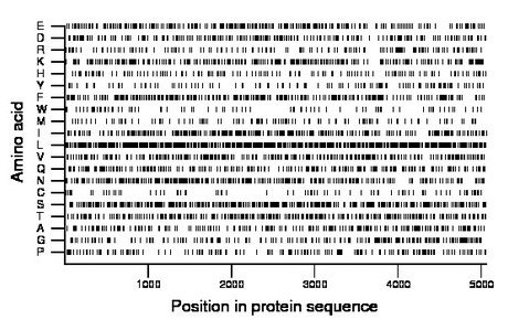 amino acid map