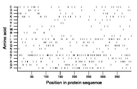 amino acid map