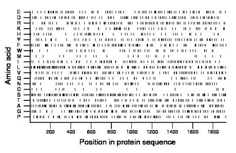amino acid map